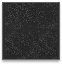 collage image title