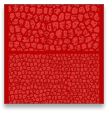 collage image title