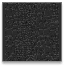 collage image title