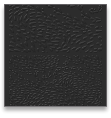 collage image title