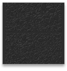 collage image title